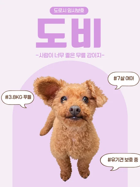 도비