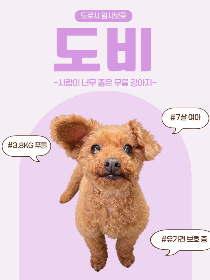 도비 1
