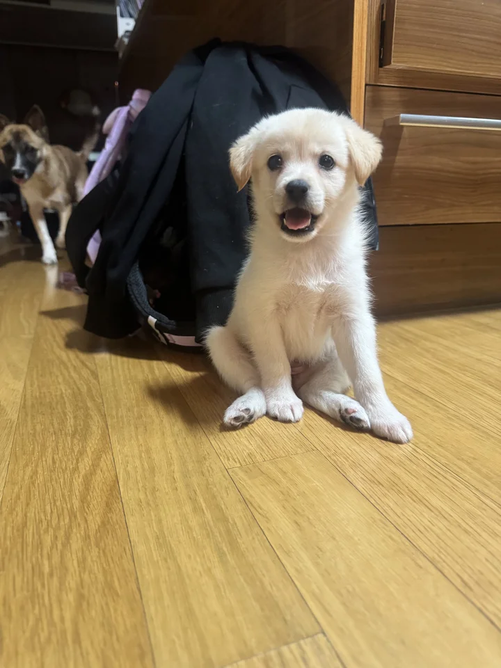 네로 6