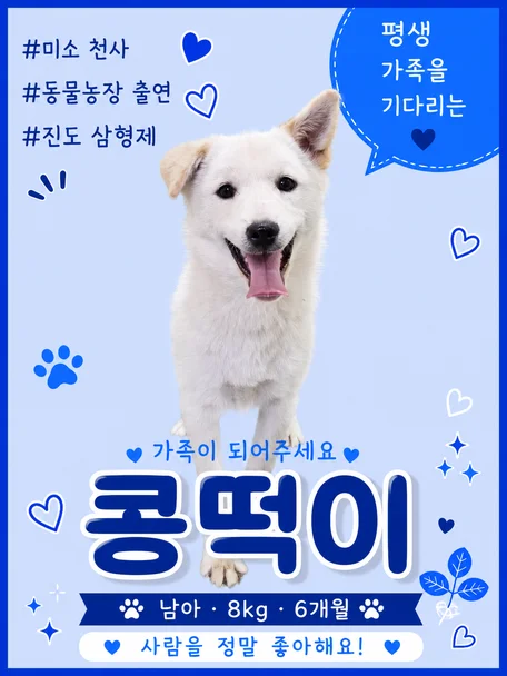 콩떡이