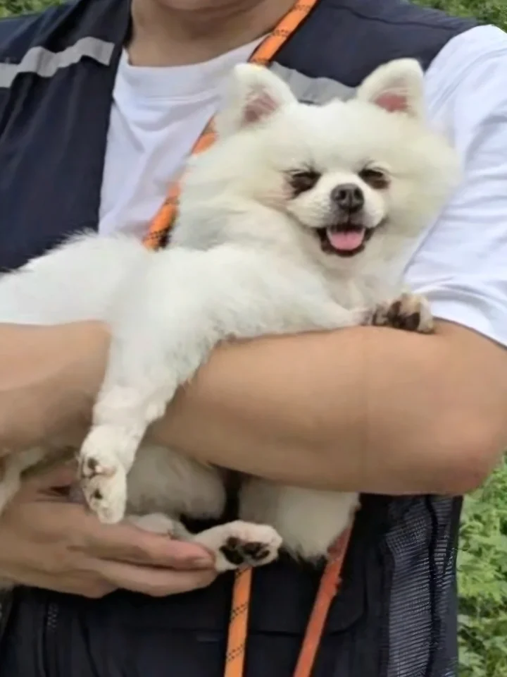 카니 16