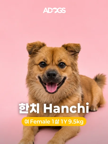 한치