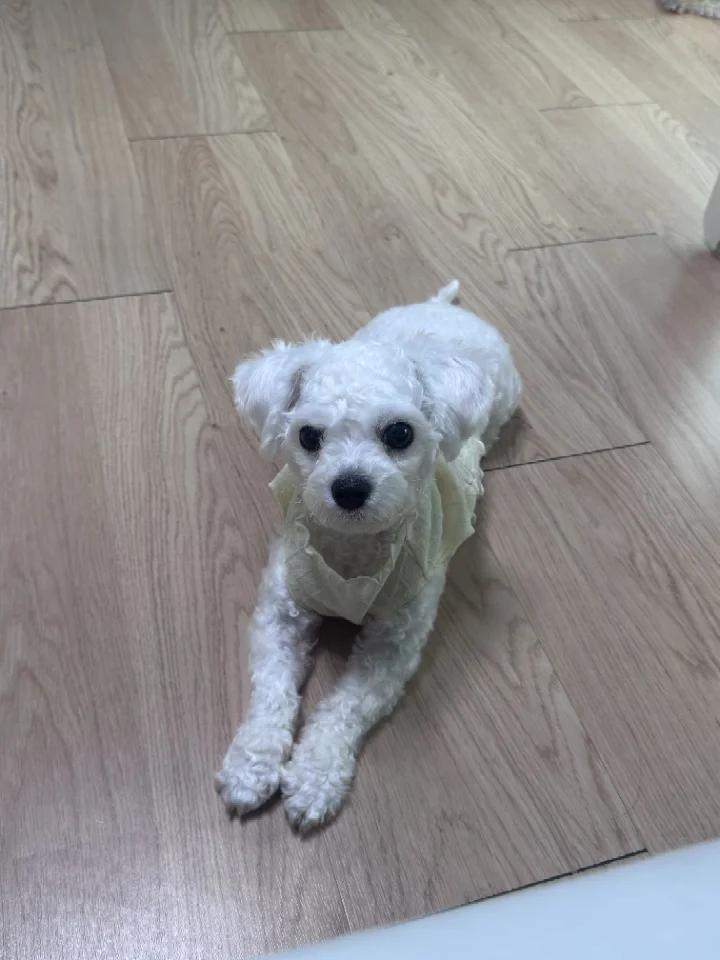 훈이 7