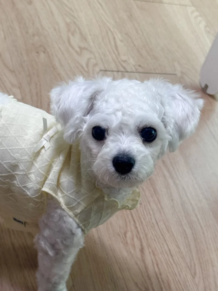 훈이 6