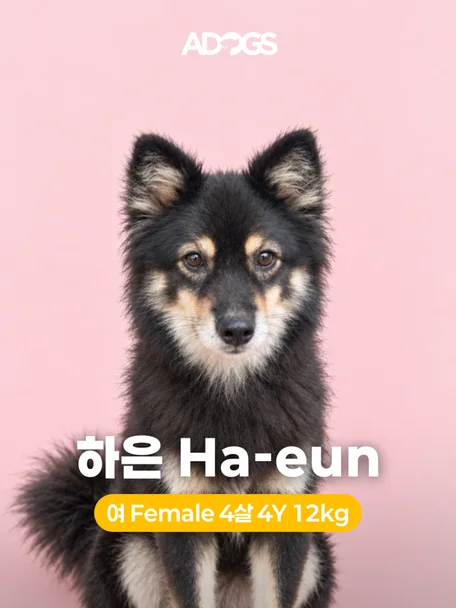하은