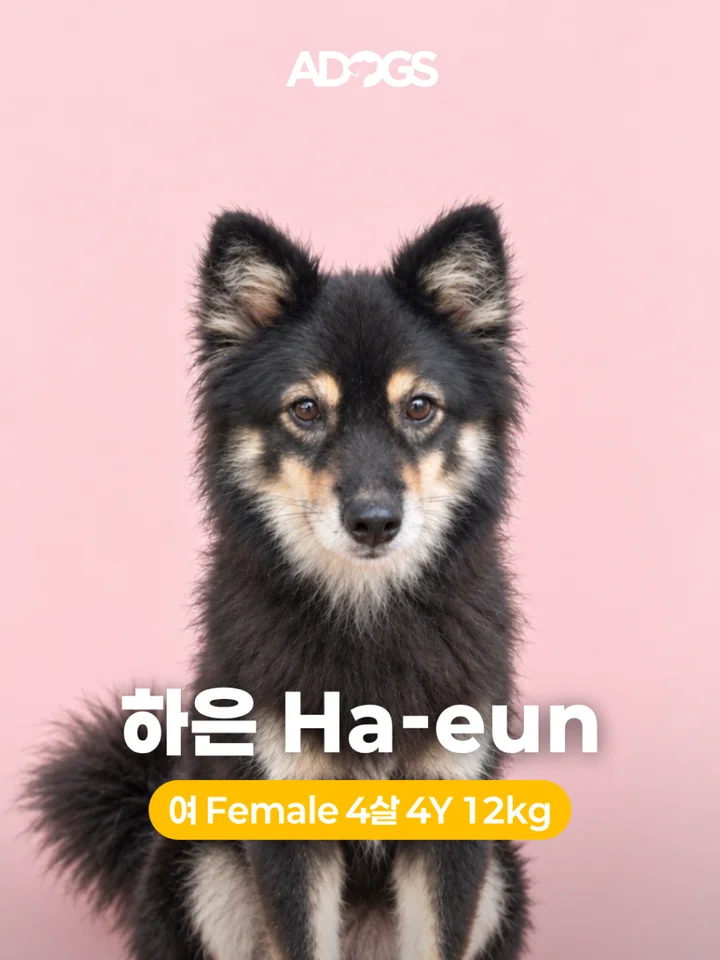 νμ 1