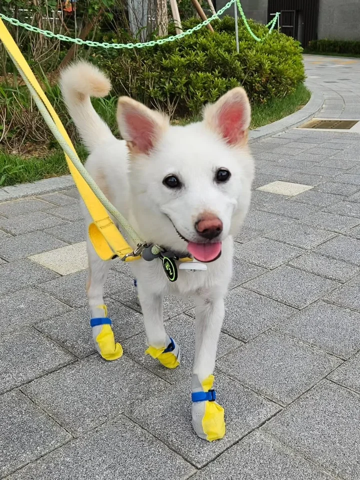 벨 4