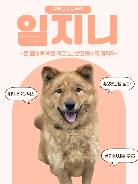 일지니