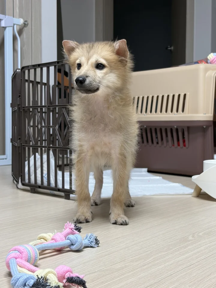 구만 4