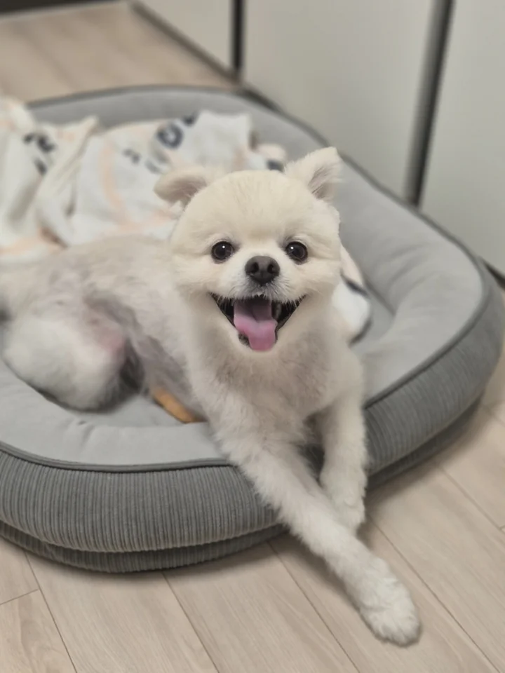 송천 3