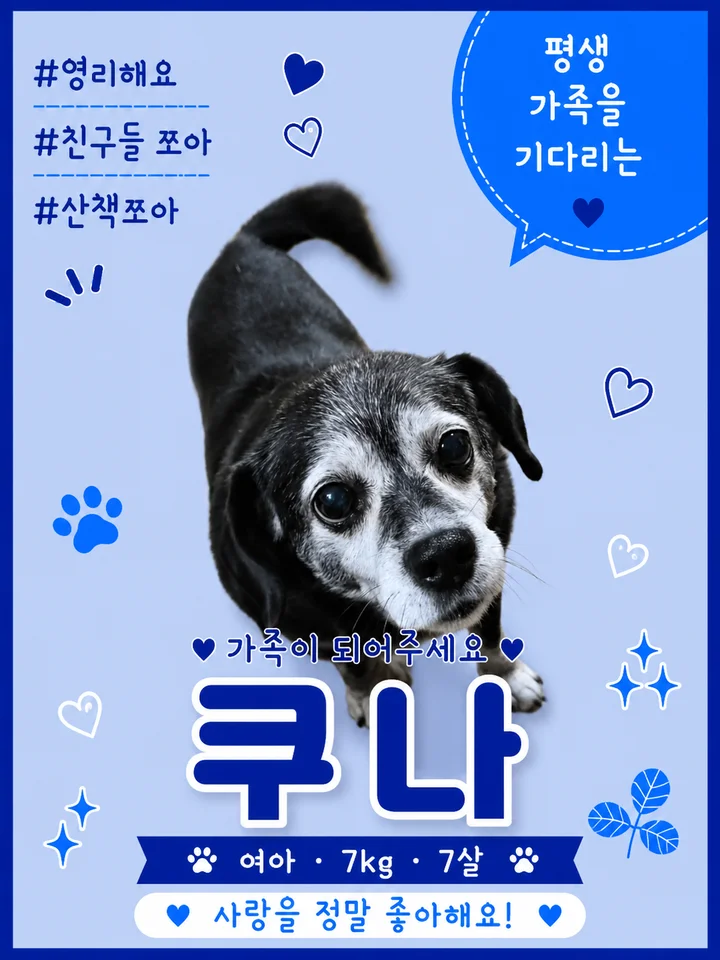 쿠나 1