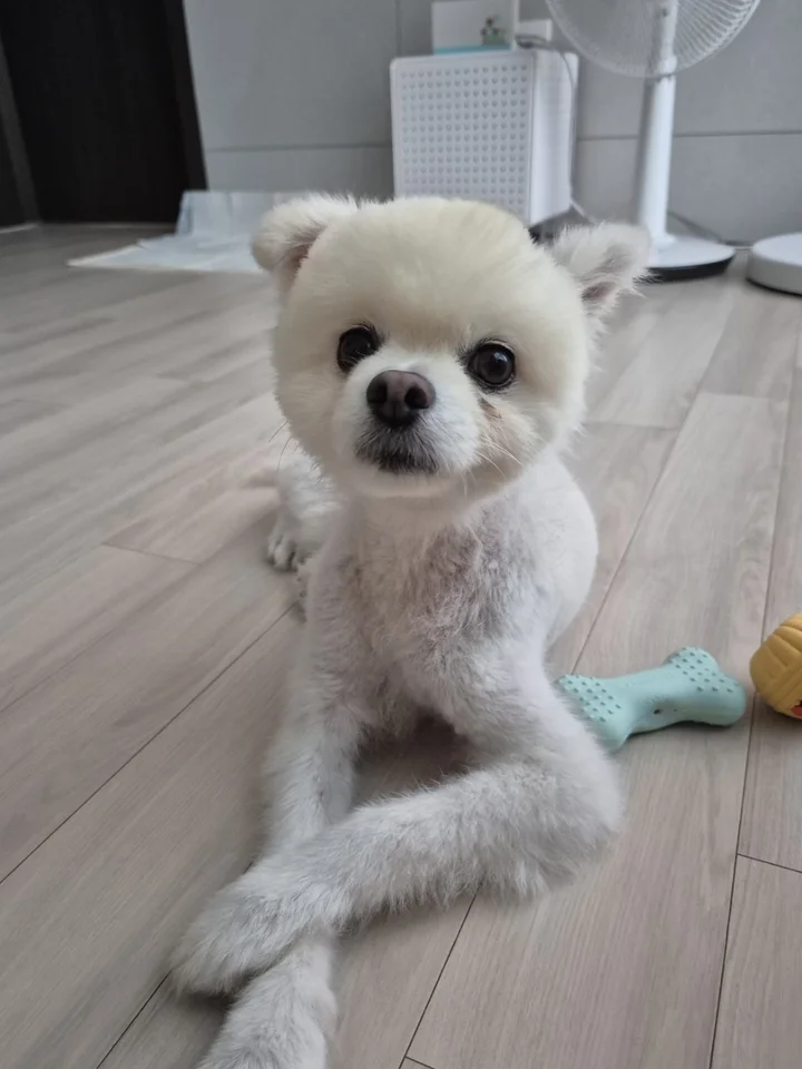 송천 2