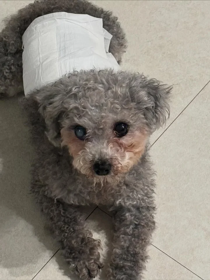 황동이 2