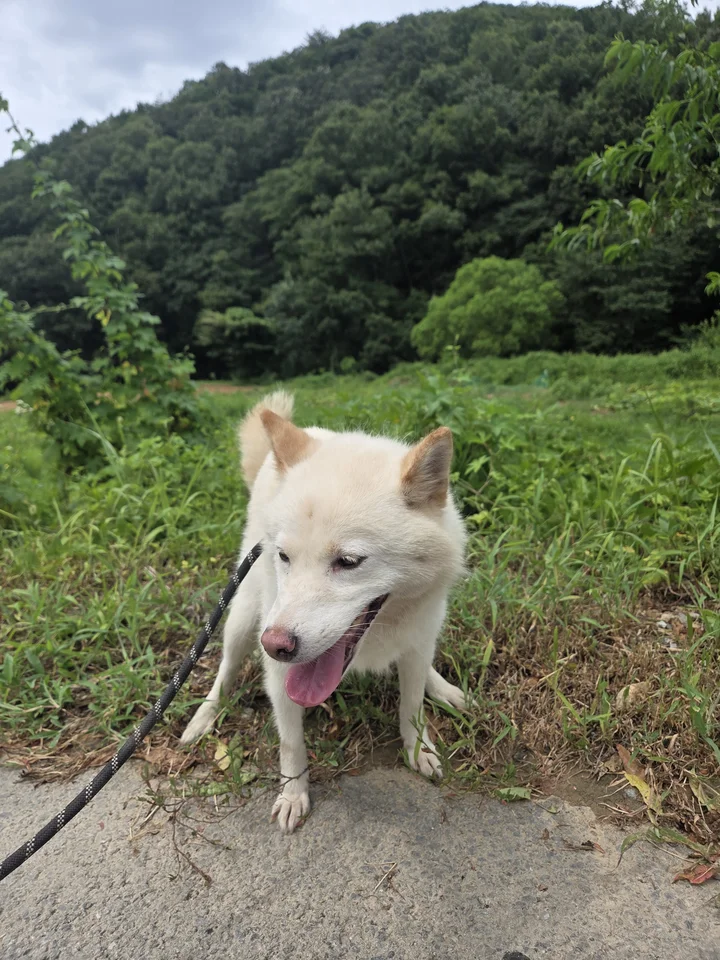 별이 18