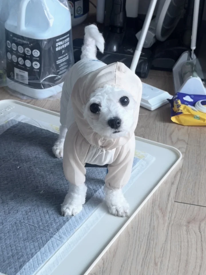 훈이 3