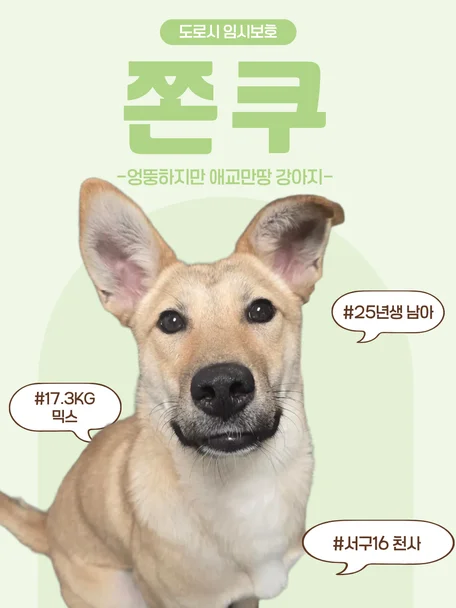 쫀쿠