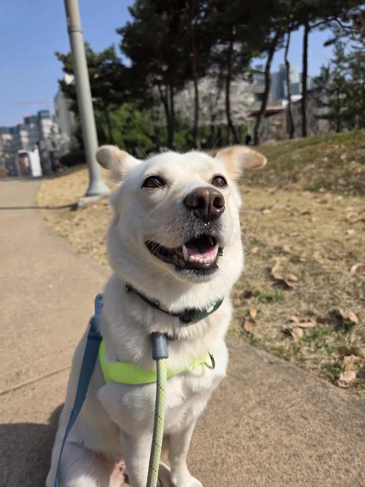 지니 3