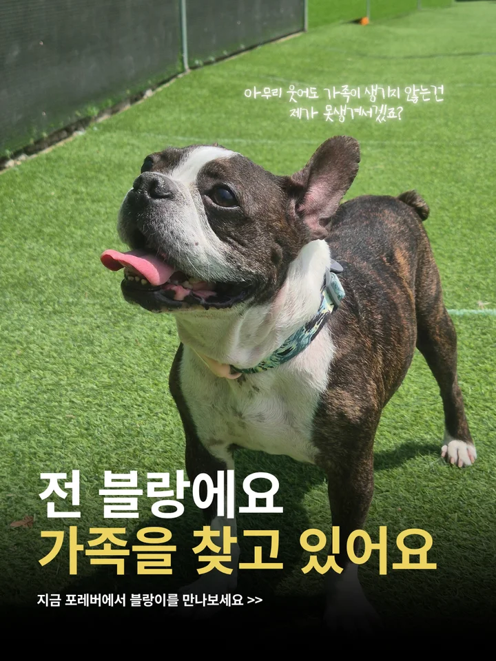 블랑이 1