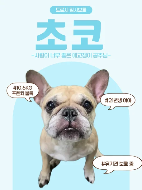초코