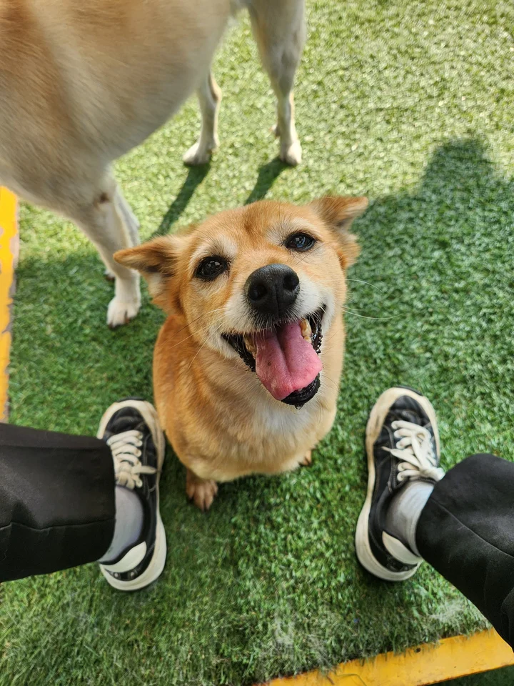 벨리 22