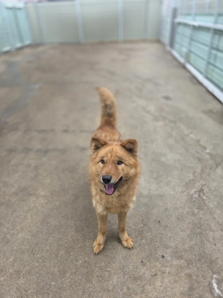 일지니 7