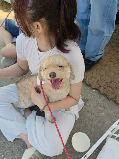 루카