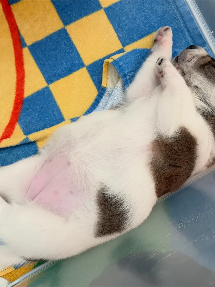 오곡 7