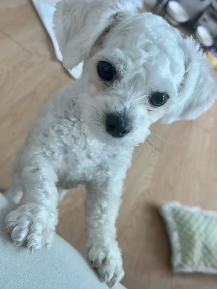 훈이 4