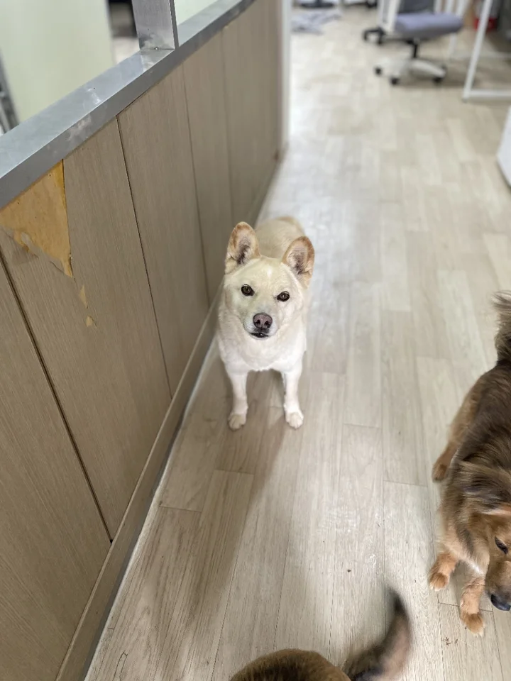 포근 4
