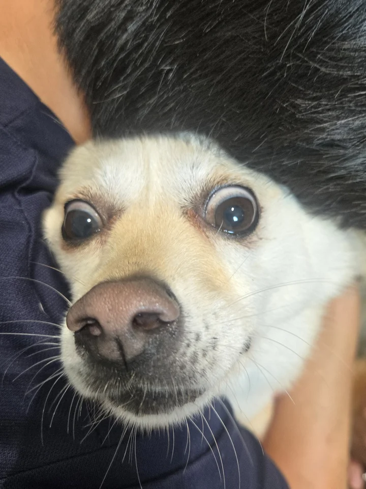 위니 13