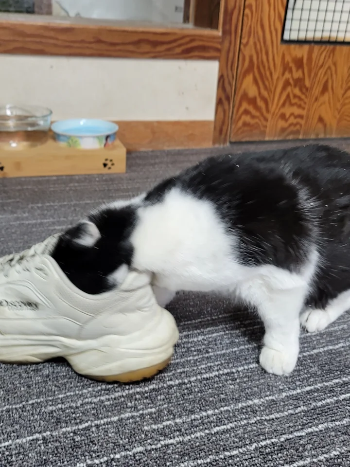 계양 3