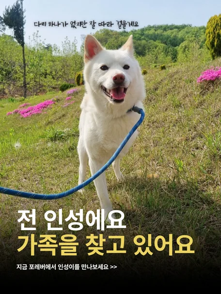 인성