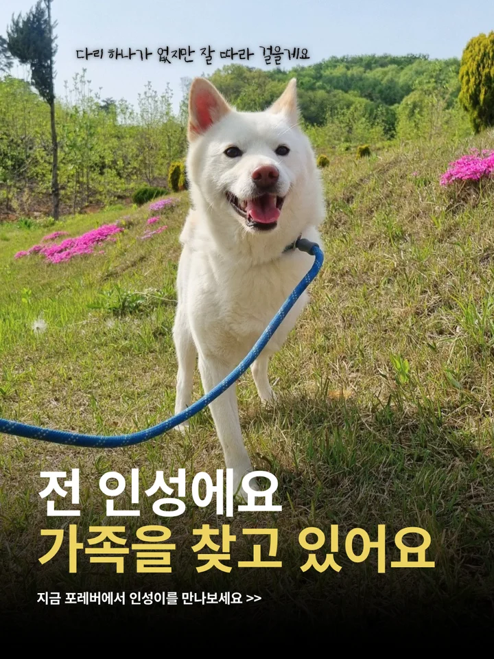 인성 1