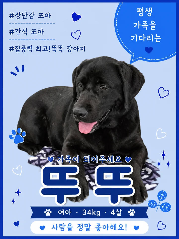 뚜뚜 1