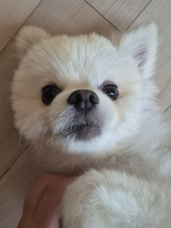 송천 4