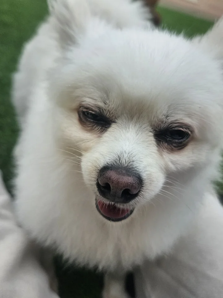 주희 18
