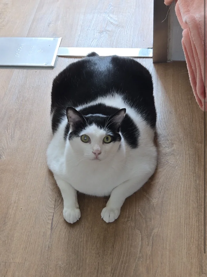 루크 11