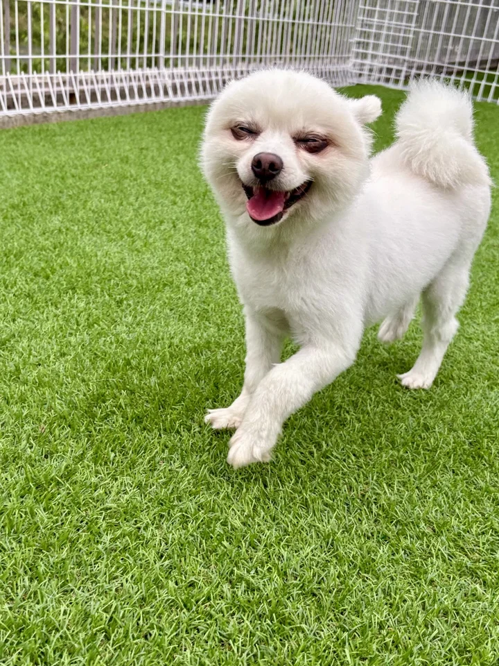 주희 6