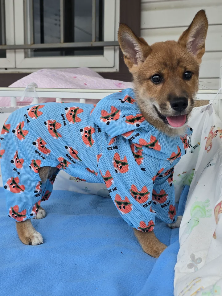 누가 2