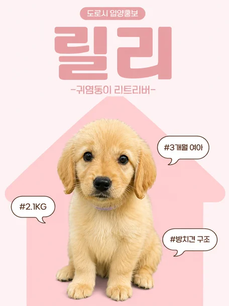 릴리