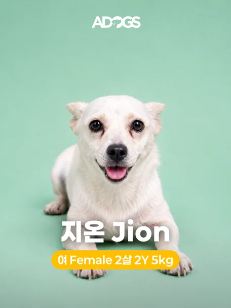 지온
