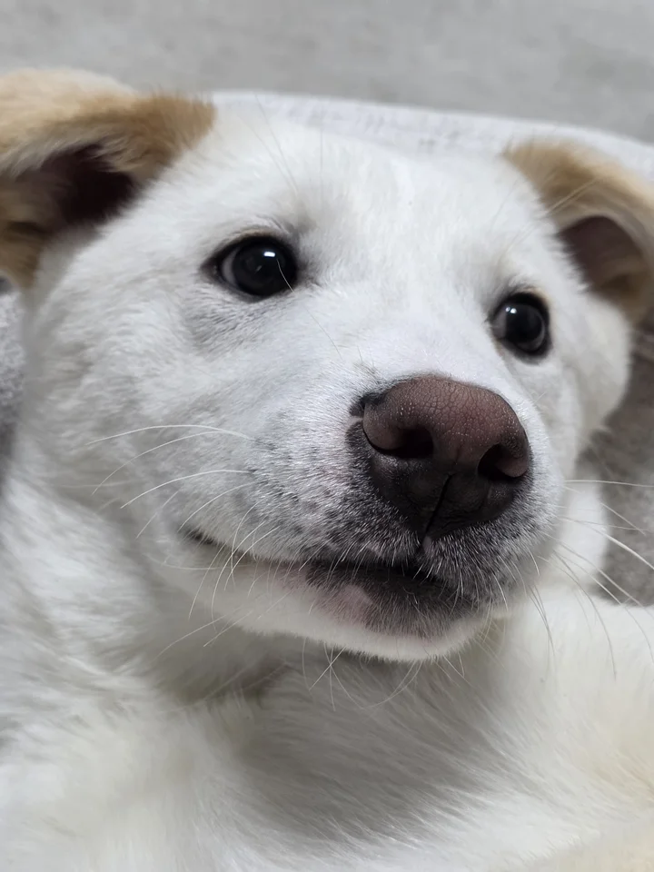 결이 3
