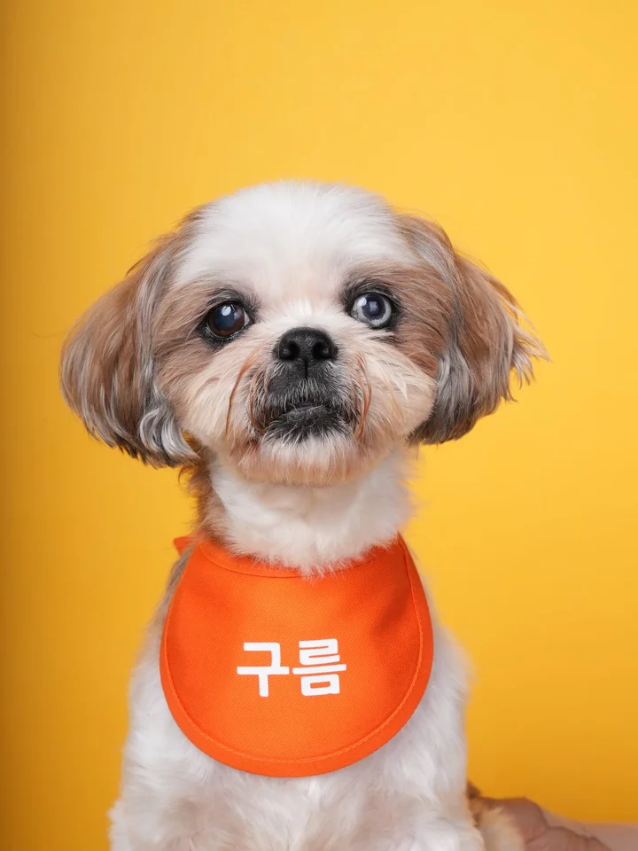 구름 7
