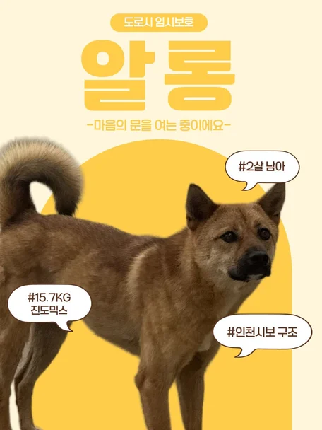 알롱