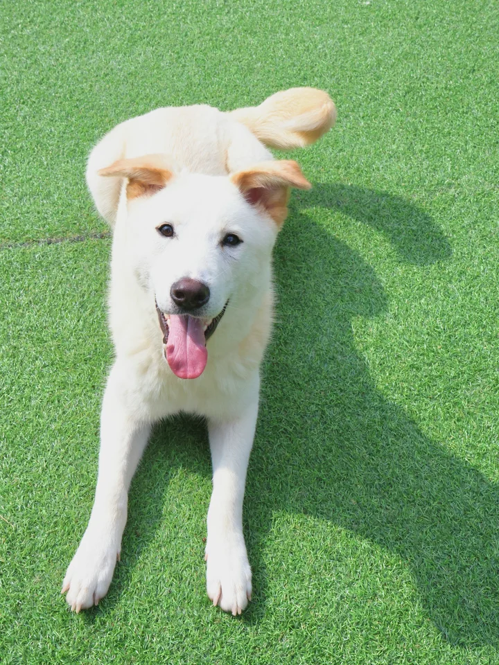 결이 6