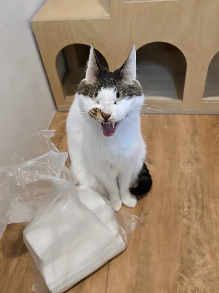 봉봉 9