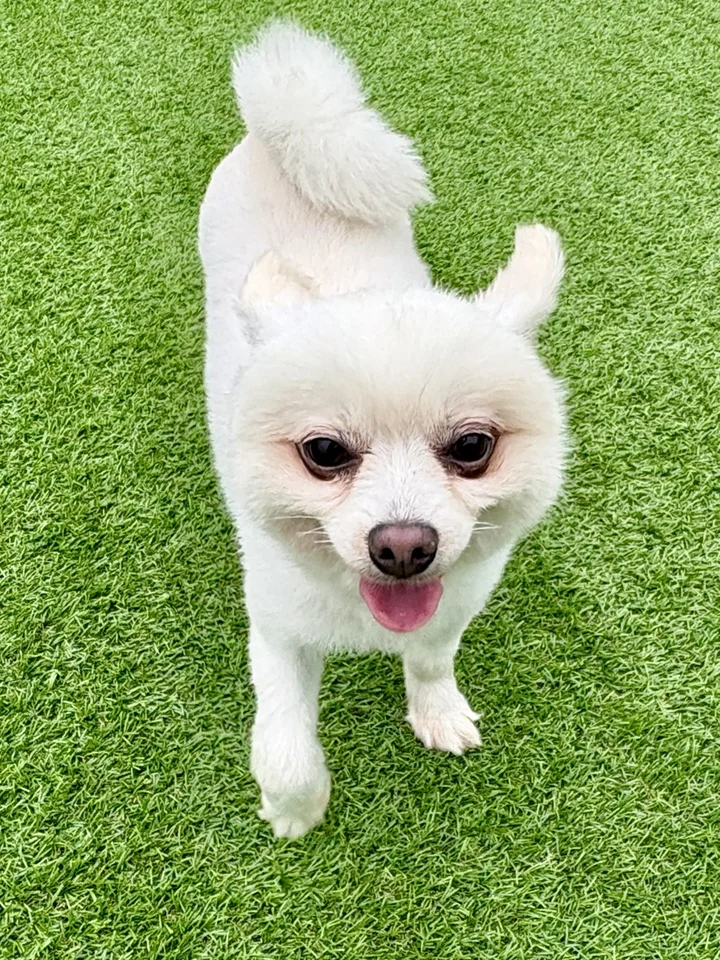 주희 7
