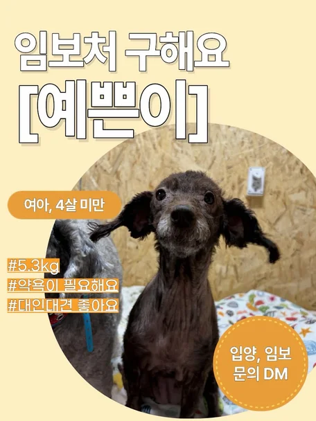 예쁜이