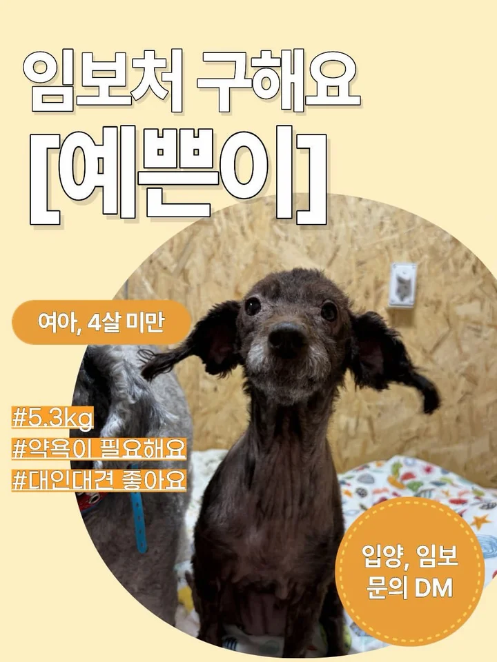 예쁜이 1