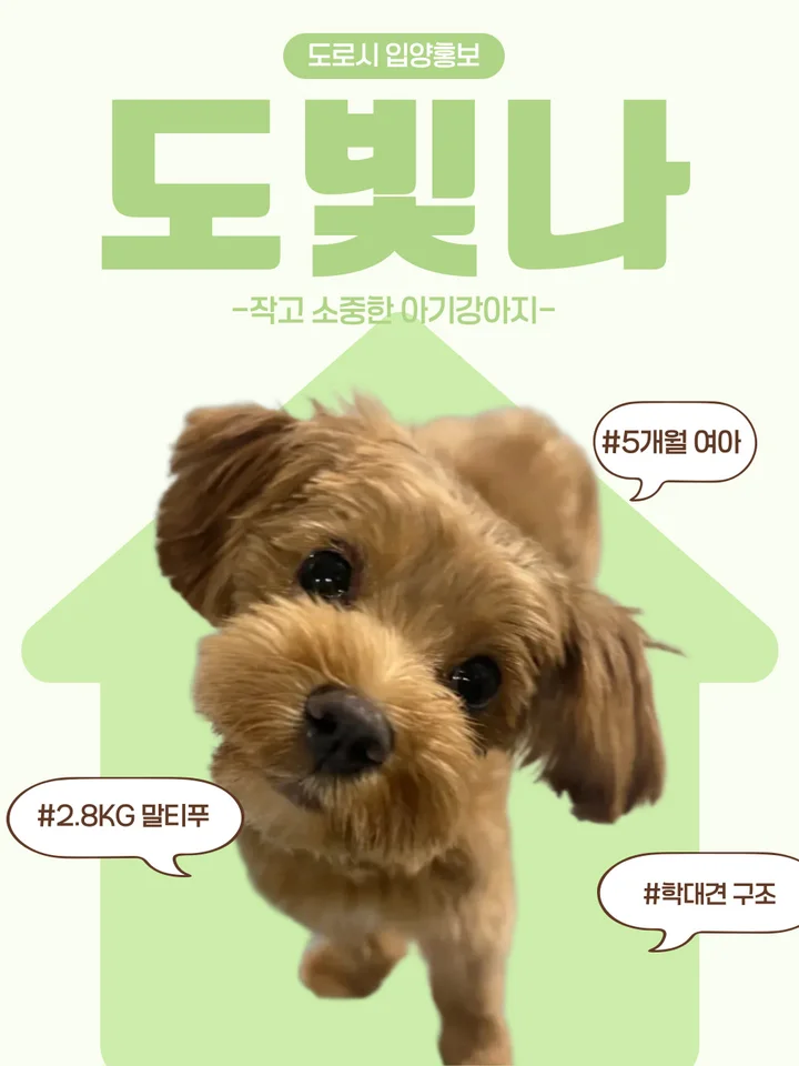 도빛나 1